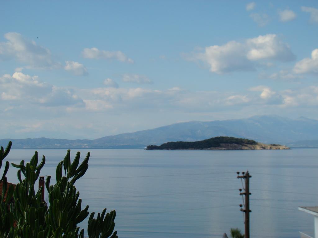 Pavlina